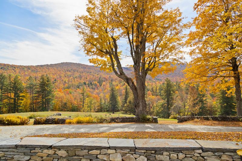 Potter-Rd-19_websize